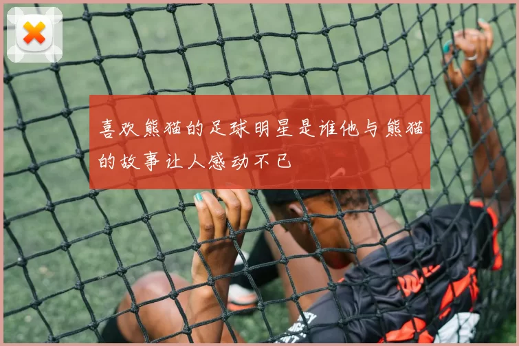 喜欢熊猫的足球明星是谁他与熊猫的故事让人感动不已