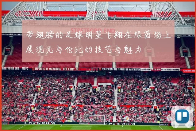 带翅膀的足球明星飞翔在绿茵场上展现无与伦比的技艺与魅力
