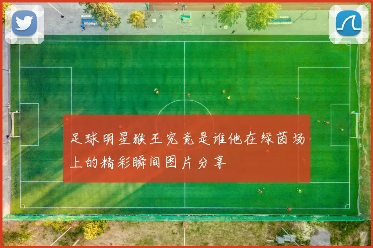 足球明星猴王究竟是谁他在绿茵场上的精彩瞬间图片分享