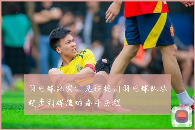 羽毛球纪实：见证杭州羽毛球队从起步到辉煌的奋斗历程