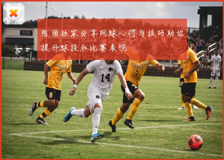 陈丽独家分享网球心得与技巧助你提升球技和比赛表现