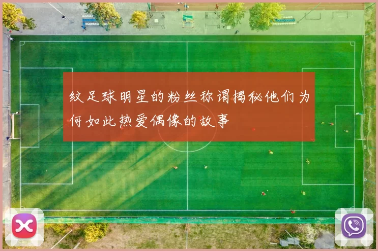纹足球明星的粉丝称谓揭秘他们为何如此热爱偶像的故事