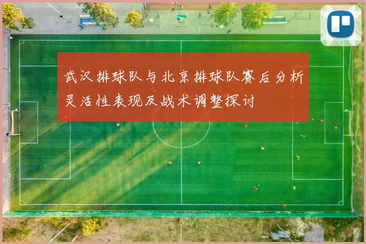 武汉排球队与北京排球队赛后分析灵活性表现及战术调整探讨