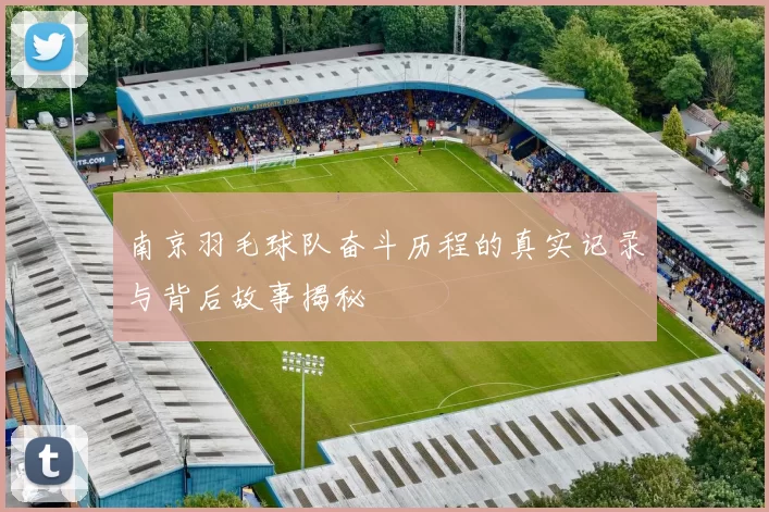 南京羽毛球队奋斗历程的真实记录与背后故事揭秘