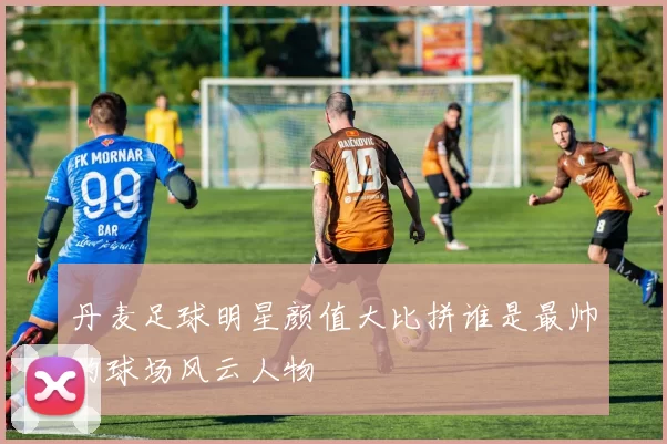 丹麦足球明星颜值大比拼谁是最帅的球场风云人物