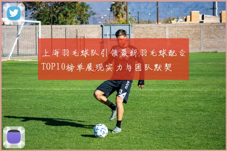 上海羽毛球队引领最新羽毛球配合TOP10榜单展现实力与团队默契