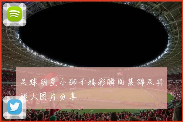 足球明星小狮子精彩瞬间集锦及其迷人图片分享