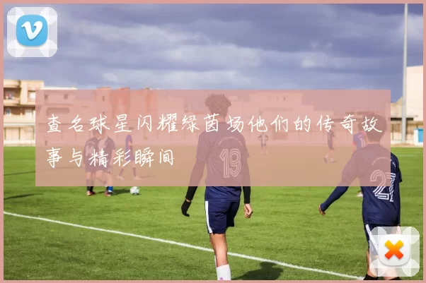 查名球星闪耀绿茵场他们的传奇故事与精彩瞬间