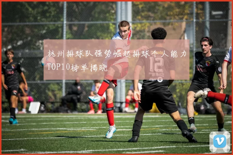 杭州排球队强势崛起排球个人能力TOP10榜单揭晓