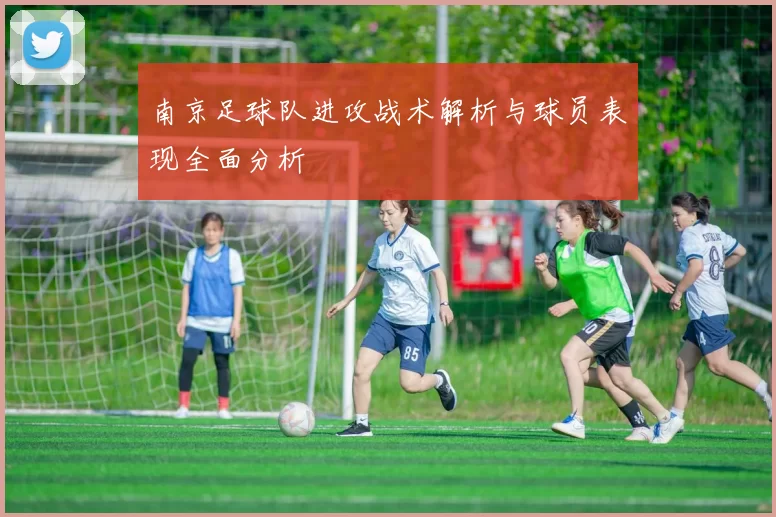 南京足球队进攻战术解析与球员表现全面分析