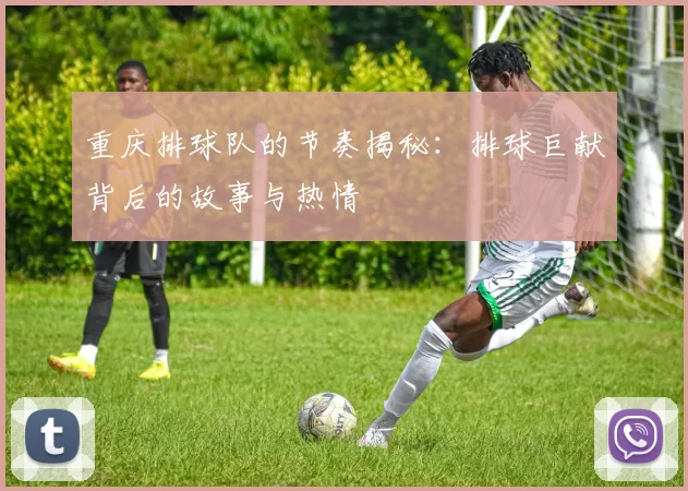 重庆排球队的节奏揭秘：排球巨献背后的故事与热情