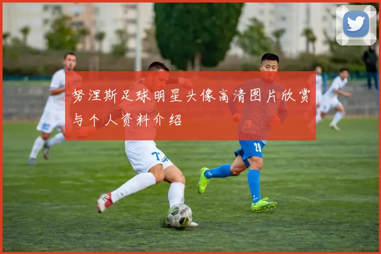 努涅斯足球明星头像高清图片欣赏与个人资料介绍