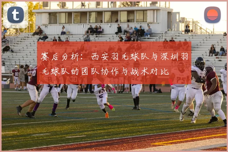赛后分析：西安羽毛球队与深圳羽毛球队的团队协作与战术对比