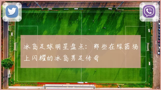 冰岛足球明星盘点：那些在绿茵场上闪耀的冰岛男足传奇