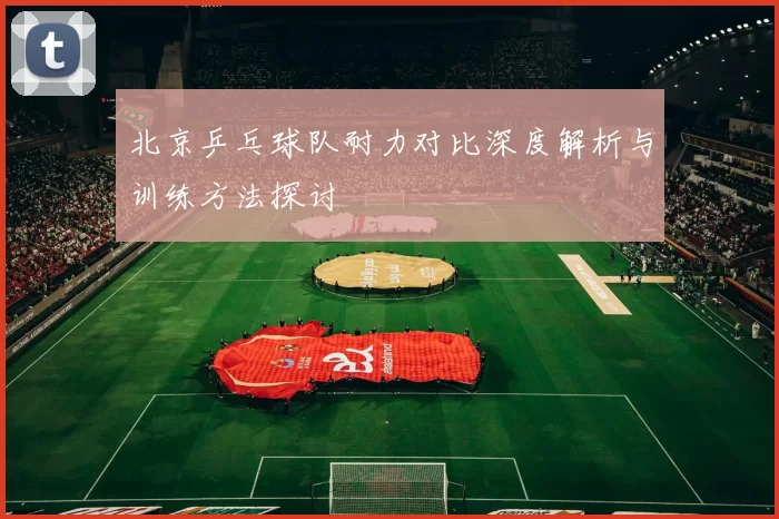 北京乒乓球队耐力对比深度解析与训练方法探讨