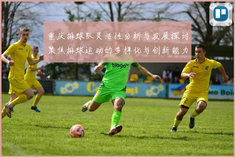 重庆排球队灵活性分析与发展探讨聚焦排球运动的多样化与创新能力