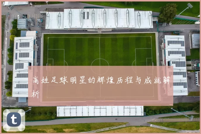 高姓足球明星的辉煌历程与成就解析