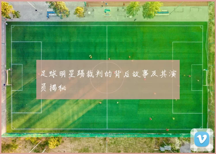 足球明星踢裁判的背后故事及其演员揭秘