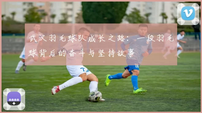 武汉羽毛球队成长之路：一段羽毛球背后的奋斗与坚持故事