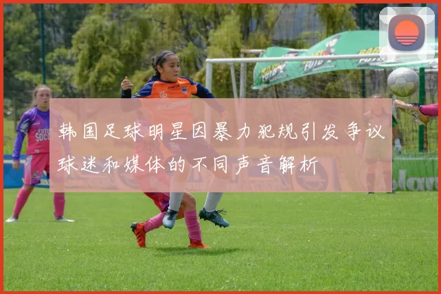 韩国足球明星因暴力犯规引发争议球迷和媒体的不同声音解析