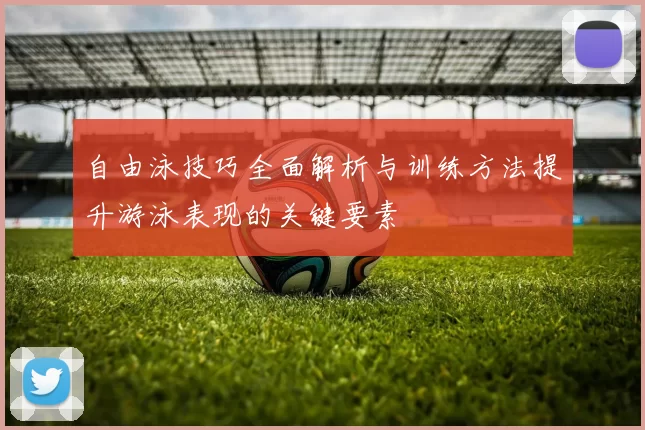自由泳技巧全面解析与训练方法提升游泳表现的关键要素