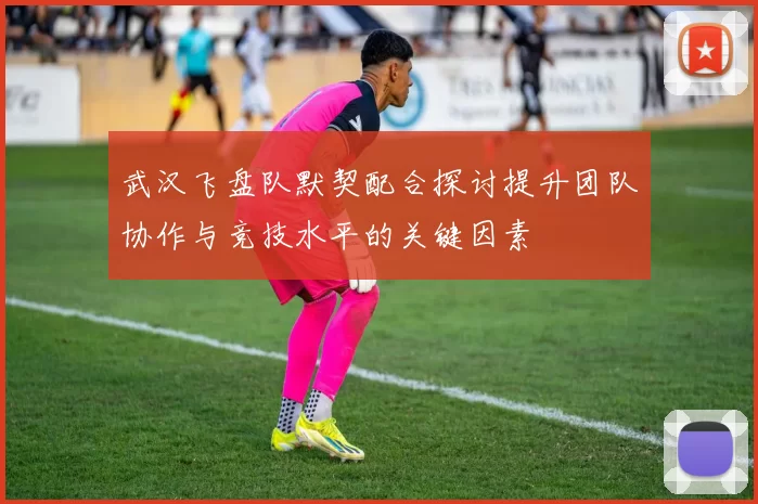 武汉飞盘队默契配合探讨提升团队协作与竞技水平的关键因素