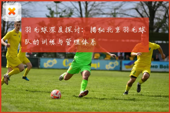 羽毛球深度探讨：揭秘北京羽毛球队的训练与管理体系