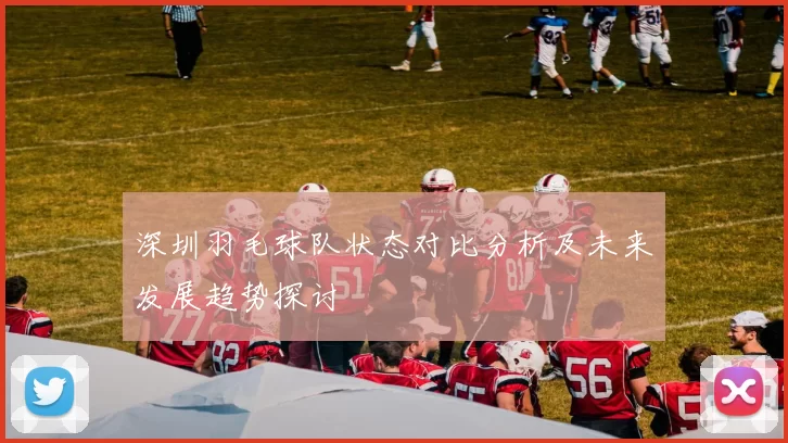 深圳羽毛球队状态对比分析及未来发展趋势探讨