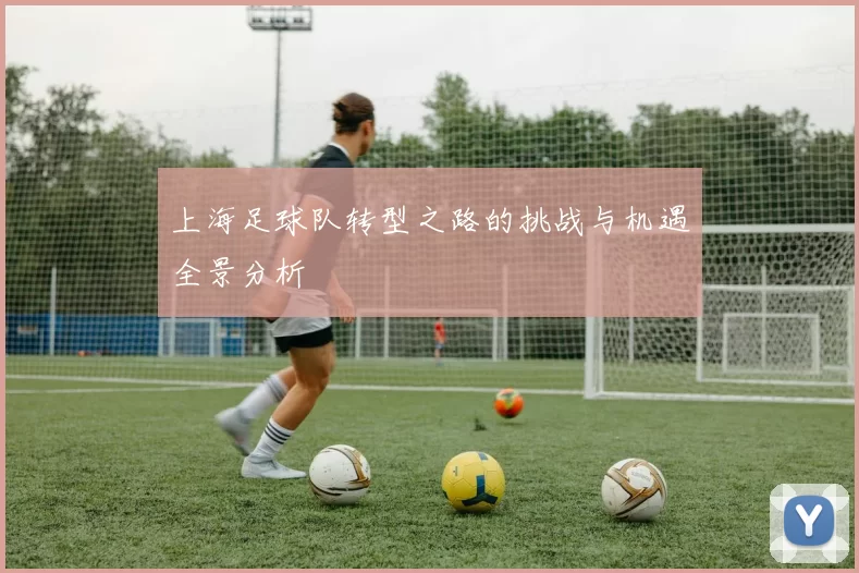 上海足球队转型之路的挑战与机遇全景分析