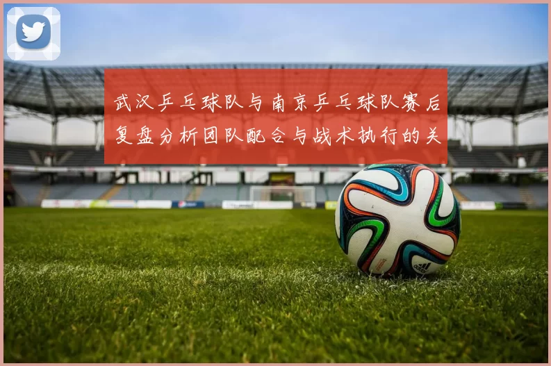 武汉乒乓球队与南京乒乓球队赛后复盘分析团队配合与战术执行的关键要素
