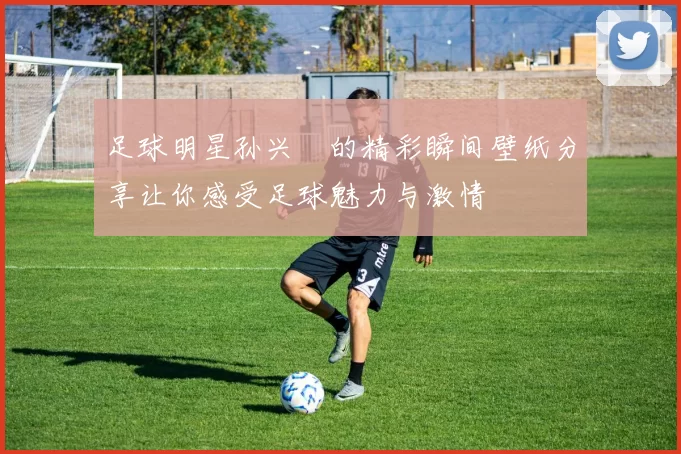 足球明星孙兴慜的精彩瞬间壁纸分享让你感受足球魅力与激情
