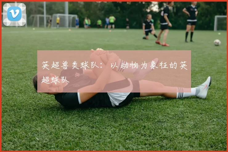 英超兽类球队：以动物为象征的英超球队