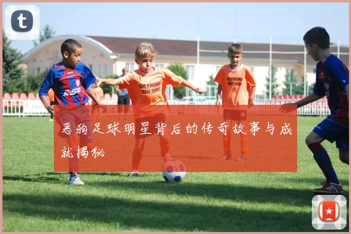 恶狗足球明星背后的传奇故事与成就揭秘