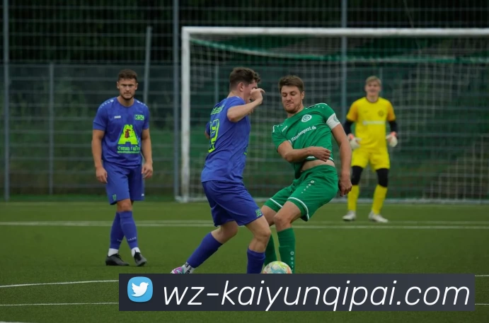 多媒体互动体验