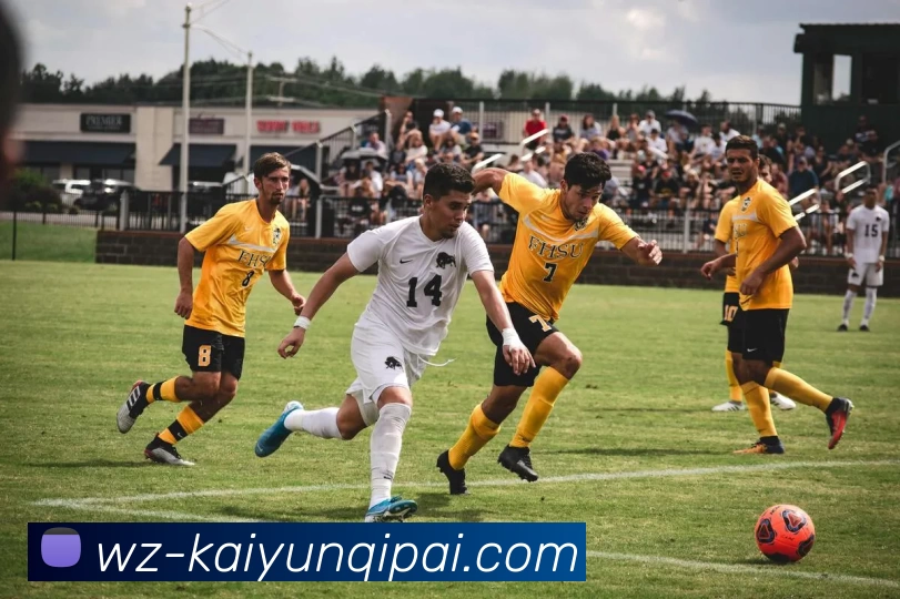 开云APP 体育赛事宣传图